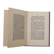 Buch - Das Daguerreotyp und das Diorama Th. Schäfer 1988
