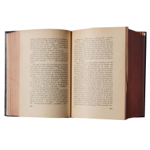 Buch Felix Dahn "Ein Kampf um Rom" 1. und 2. Band Breitkopf & Härtel Verlag 1876