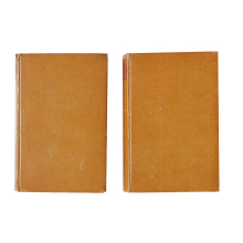 Buch - Reinhold Steig Achim von Arnims Werke Band I & II