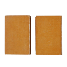 Buch - Reinhold Steig Achim von Arnims Werke Band I & II