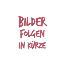 Buch - Wilhelm Busch Tobias Knopp Drei Theile in einem Bande