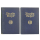 Bücher Ritter von Srbit Deutsche Einheit Band I & II Bruckmann 1935