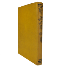 Buch - Im Schatten des Piraten Union Deutsche...