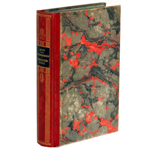 Buch - Ernst von Wildenbruch Schwester-Seele  - gemeinschaft