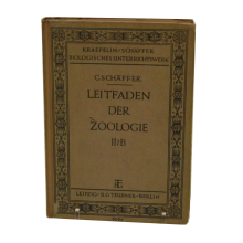 Buch Schäfer "Leitfaden der Zoologie" zweiter Teil Teubner 1932