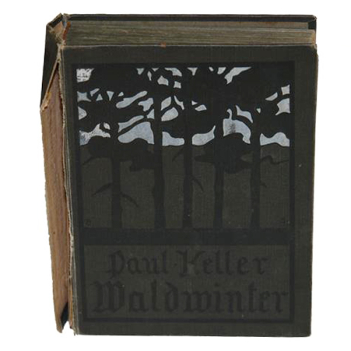 Buch Paul Keller "Waldwinter" Allgemeine Verlags-Gesellschaft 1920