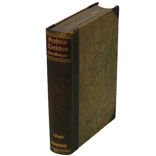 Buch Dr. Walther Rahle "Brehms Tierleben" 4. Band Bibliographisches Institut 1926