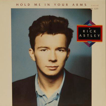 Schallplatte "Hold me in your arms" Rick Astley...