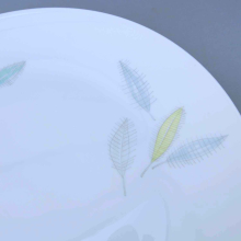 Kuchenplatte Servierteller Rosenthal Bunte Blätter Porzellan